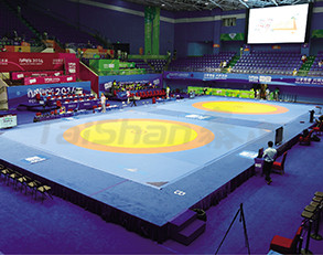 Products Wrestling Wrestling Mat Taishan Sport Equipments Co